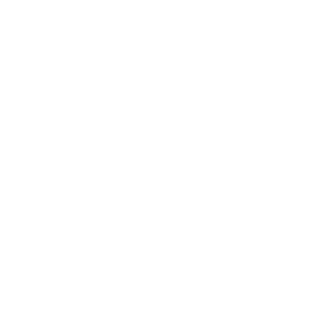 50+ Successful Weddings